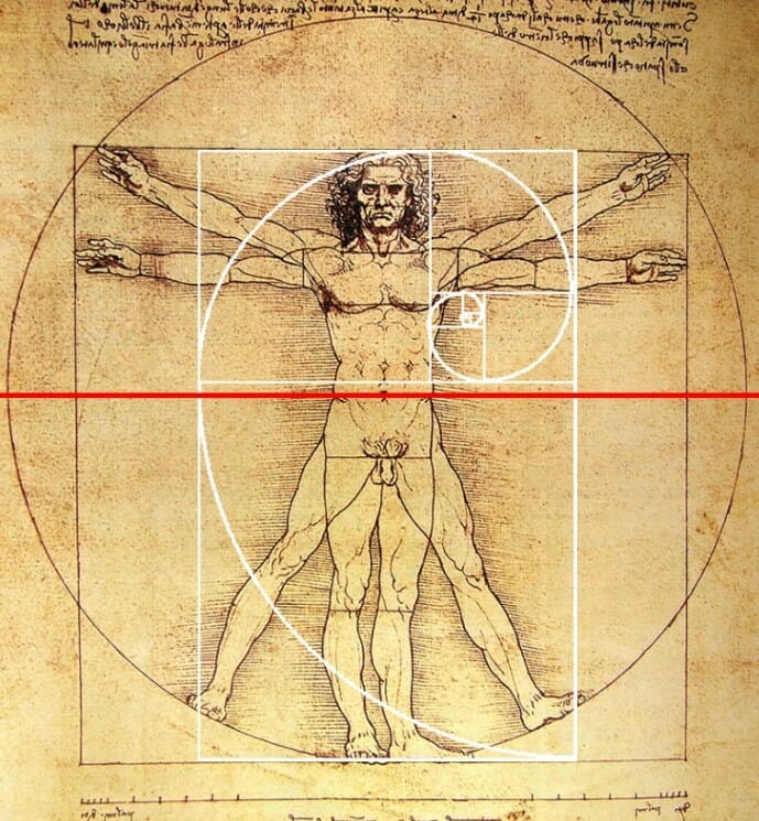 proporzioni auree e uomo vitruviano